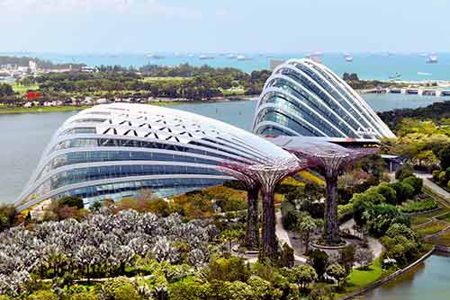 Cloud Forest & Flower Dome