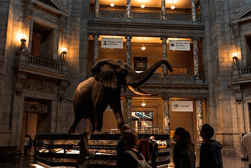 Smithsonian National Museum of Natural History
