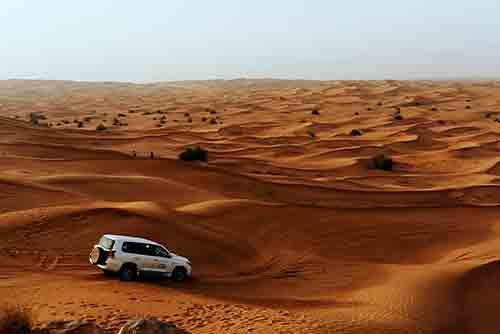 Dubai Desert Tour