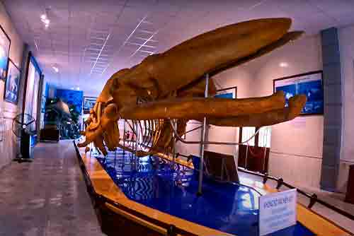 National Oceanographic Museum