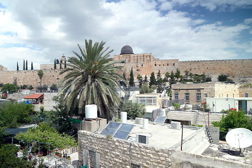 City of David