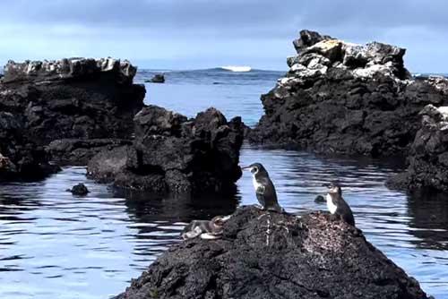 Galapagos Islands