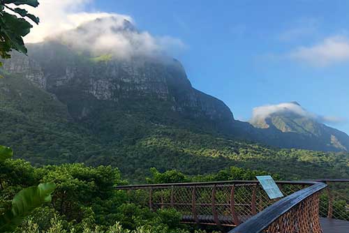 Kirstenbosch Botanical Garden