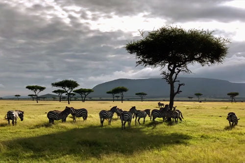 Maasai Mara National Reserve