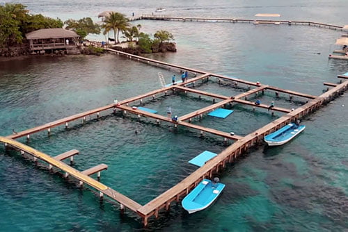 Institute for Marine Sciences