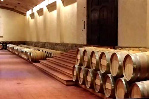 Concha y Toro Winery